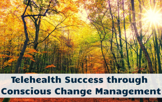 Telehealth Success through Conscious Change Management