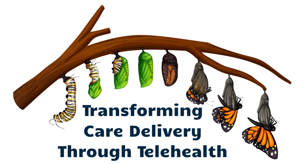 Transforming Care Delivery through Telehealth