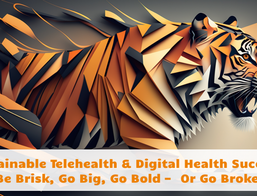 Sustainable Telehealth & Digital Health Success: Be Brisk, Go Big, Go Bold — Or Go Broke!