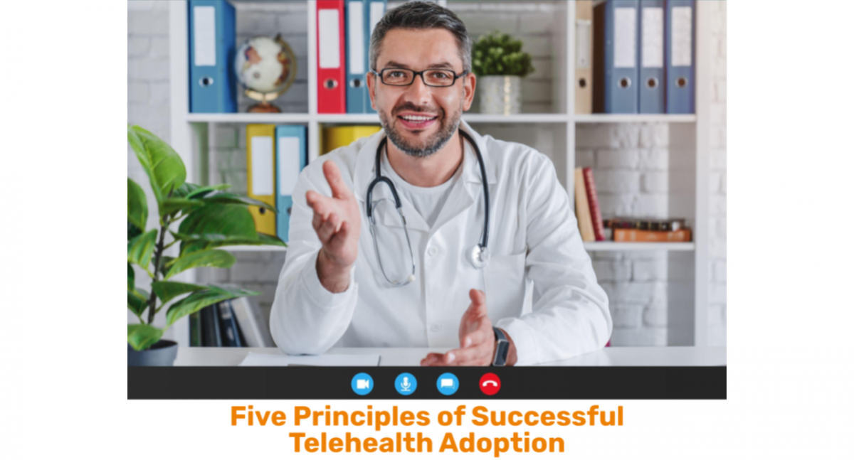 Five Principles of Successful Telehealth Adoption - Ingenium Digital ...