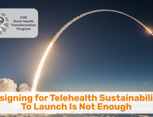 Designing for Telehealth Sustainability: To Launch Is Not Enough